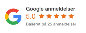 anmeldelse-loebetaener-google